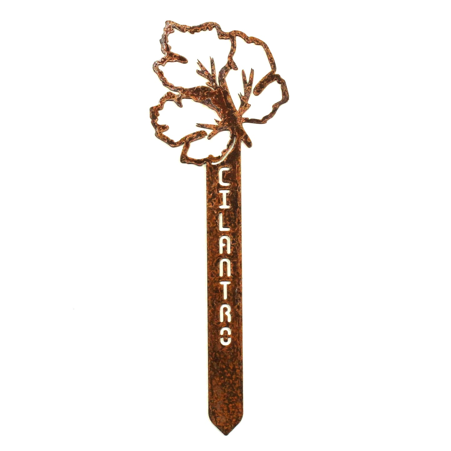 Cilantro Steel Garden Stake