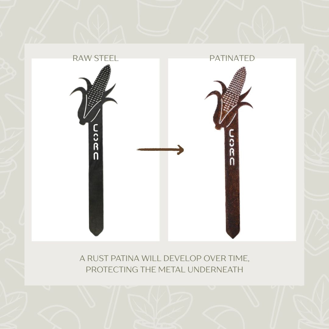 Corn Steel Garden Stake