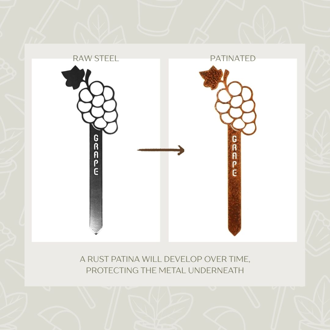 Grapes Steel Garden Stake