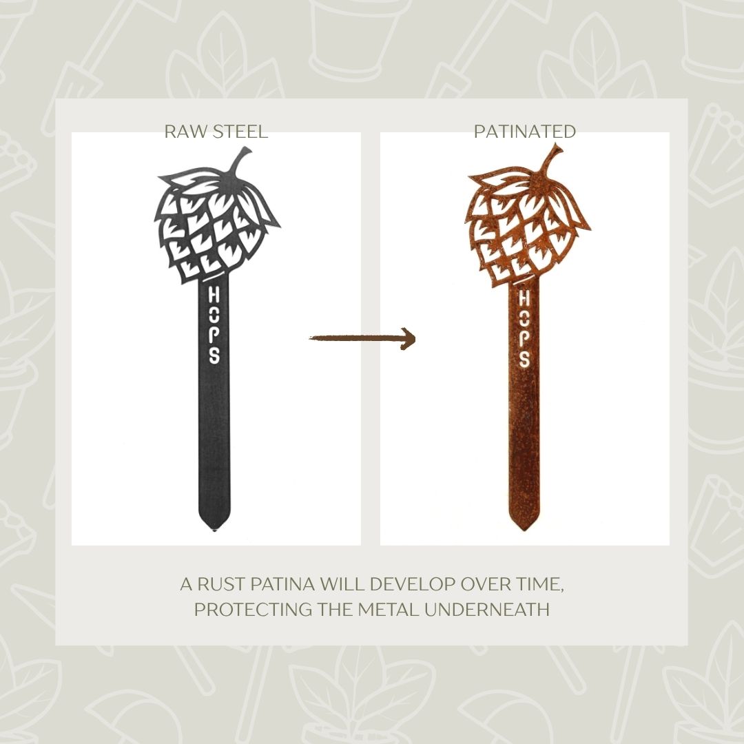 Hops Steel Garden Stake