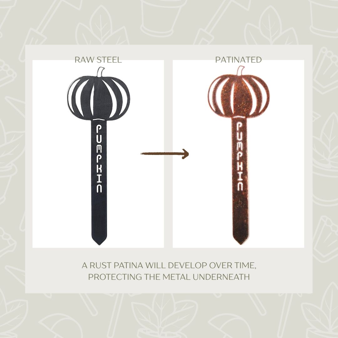 Pumpkin Steel Garden Stake