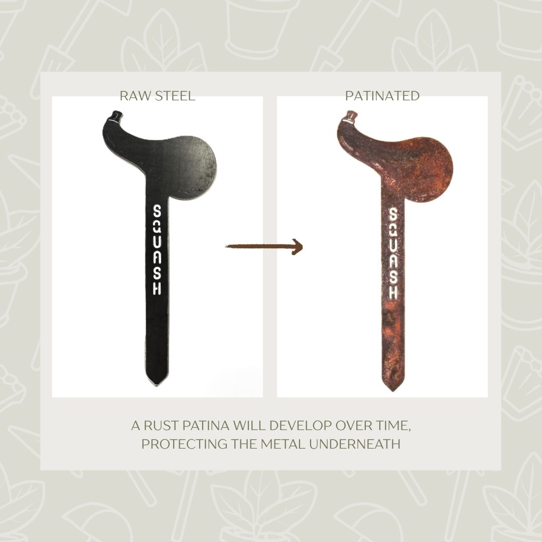 Squash Steel Garden Stake