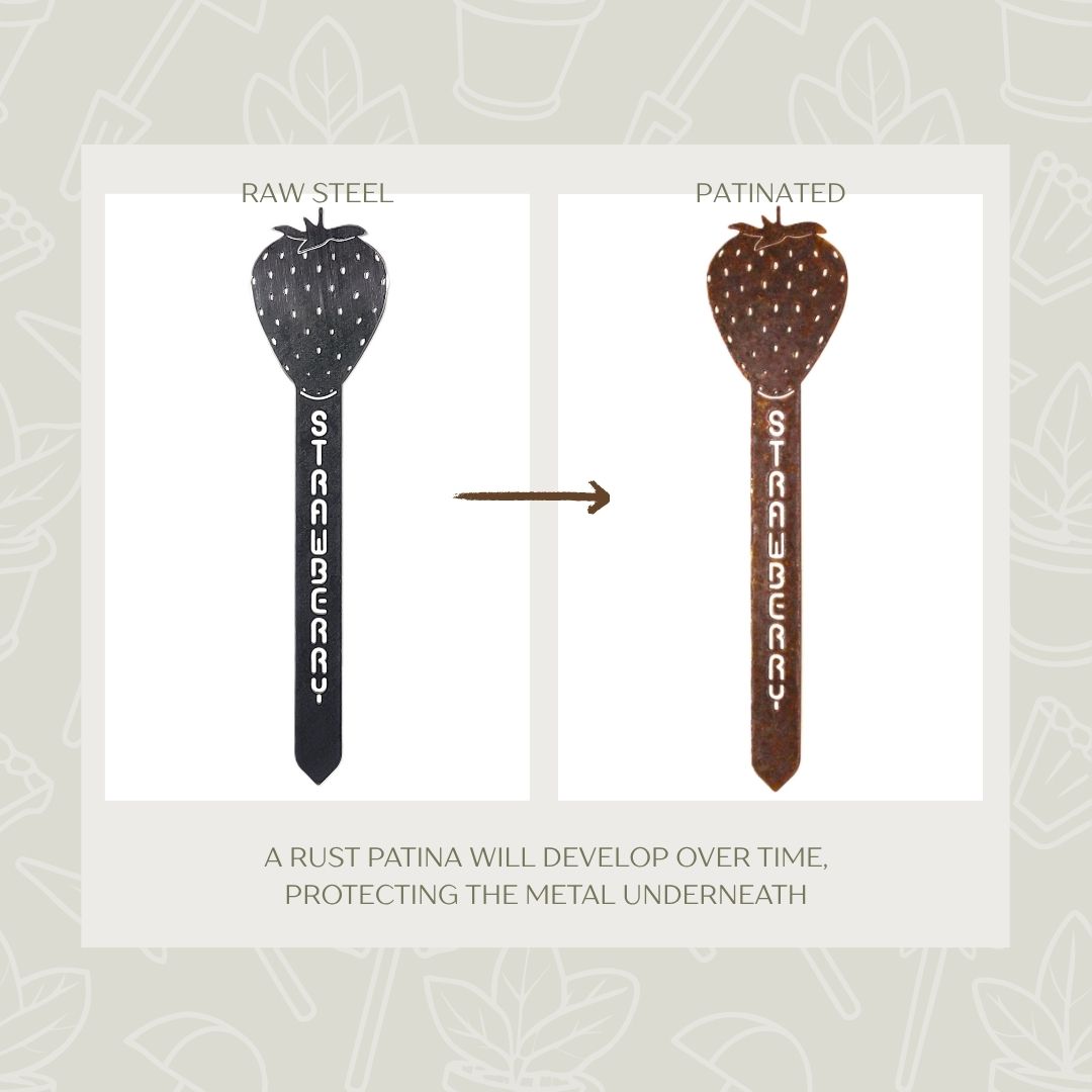 Strawberry Steel Garden Stake