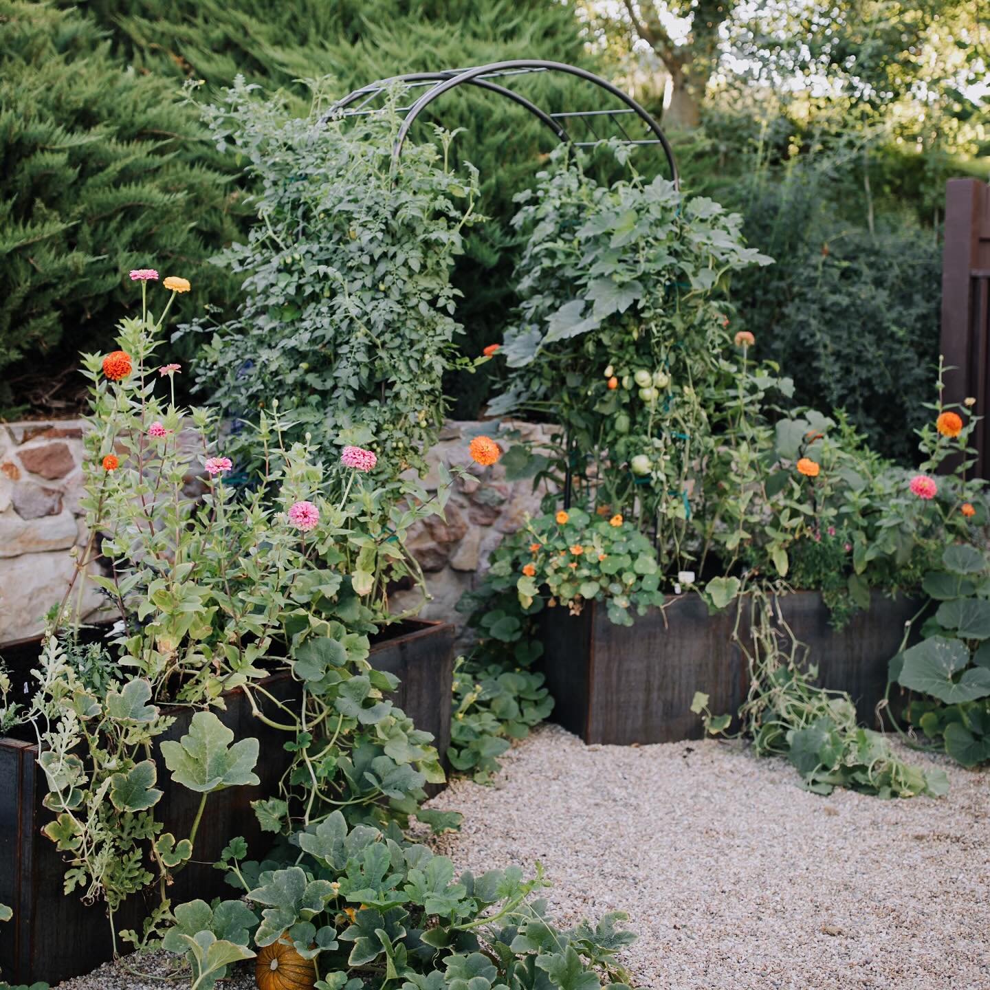 Corten Steel Raised Bed