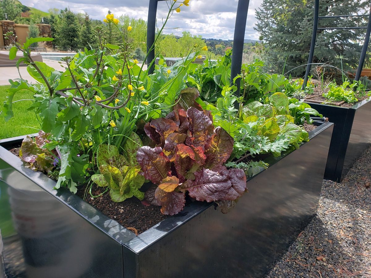Corten Steel Raised Bed