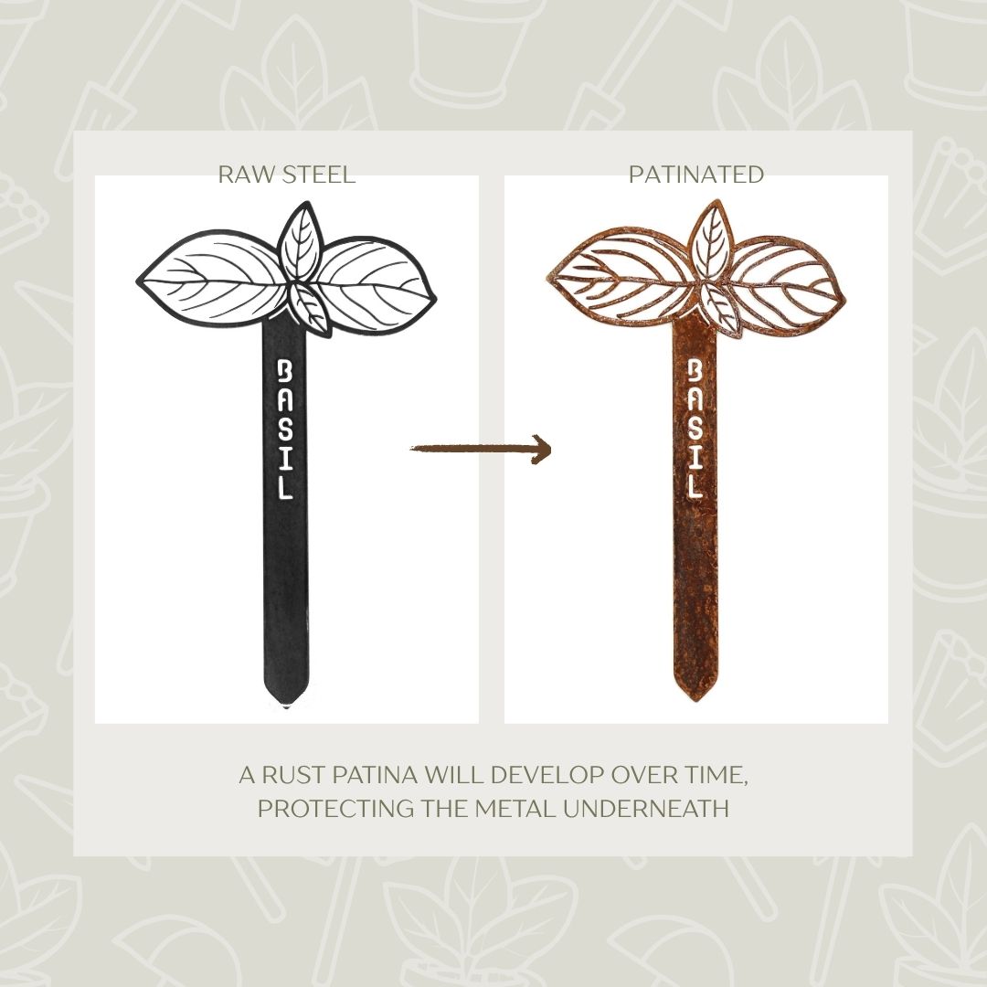 Basil Steel Garden Stake