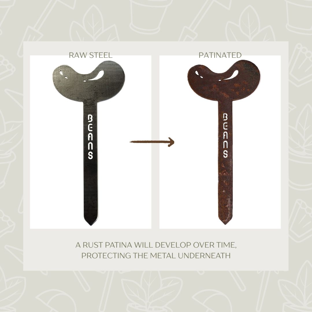 Bean Steel Garden Stake