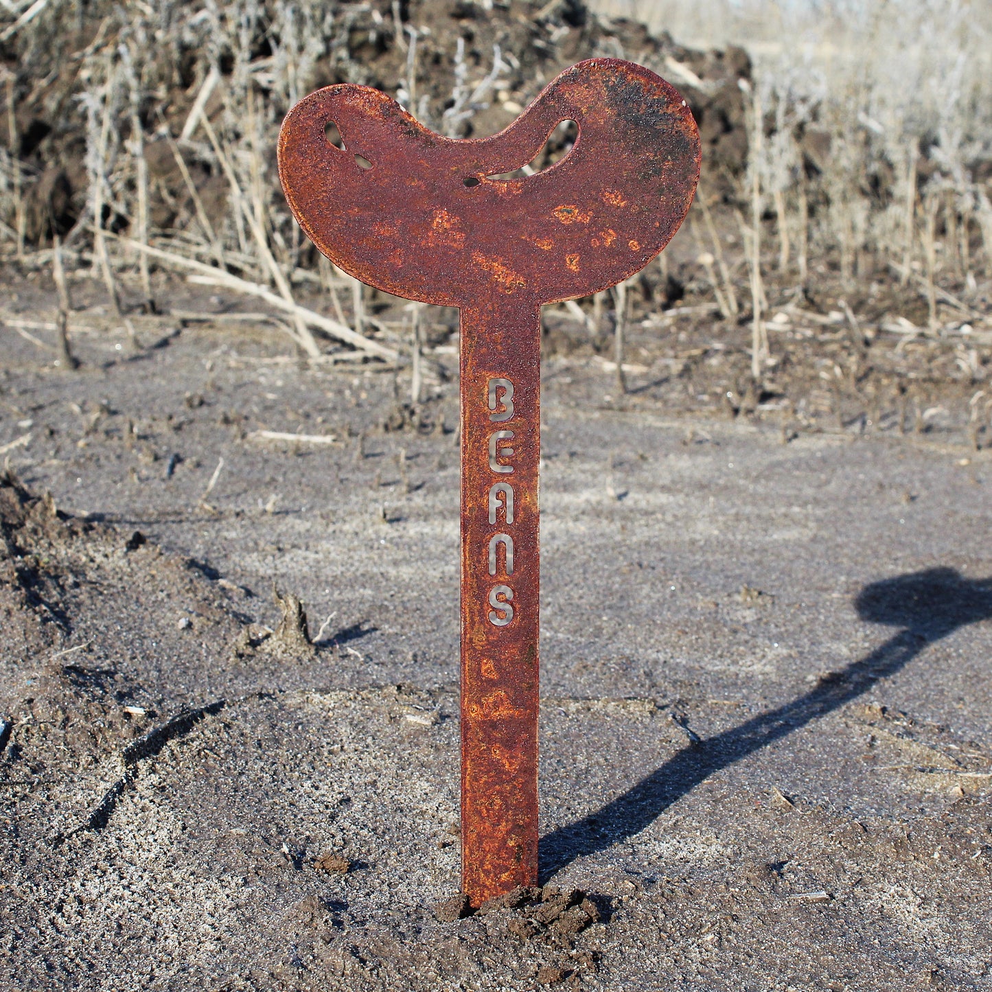 Bean Steel Garden Stake