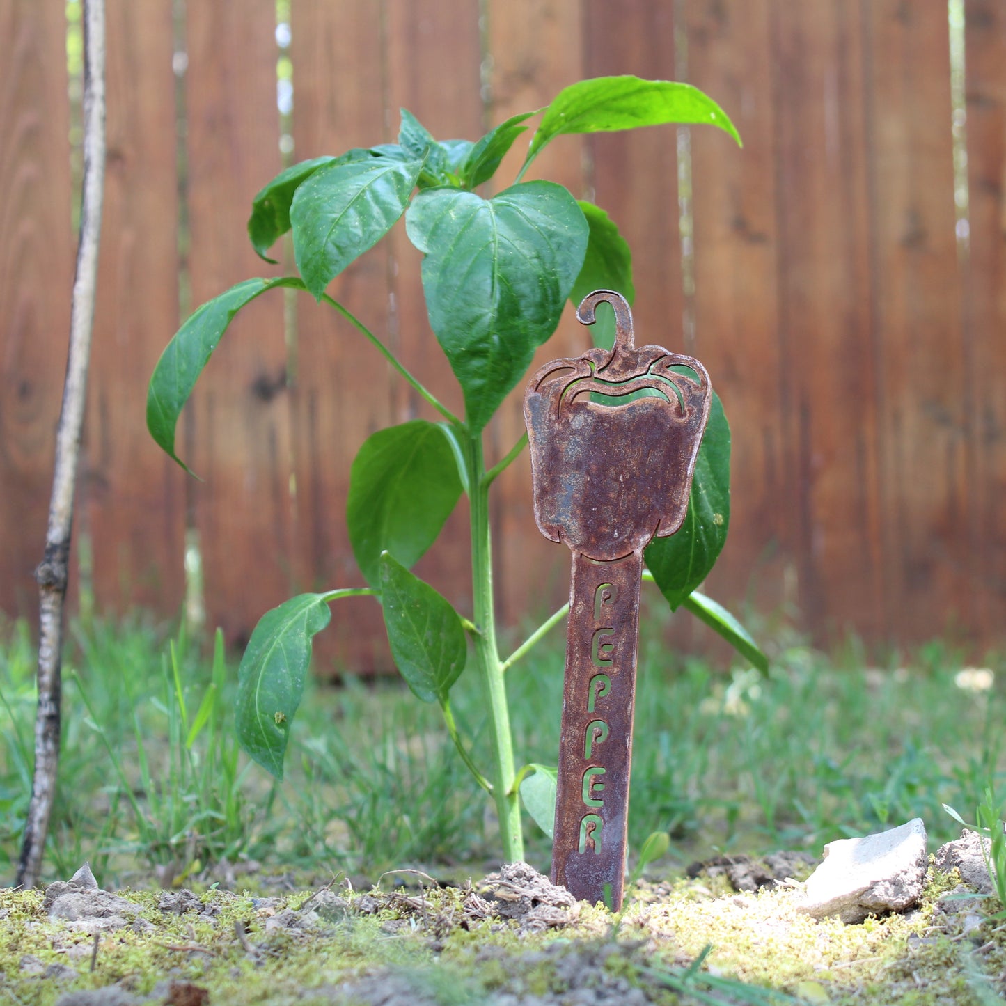 Bell Pepper Steel Garden Stake