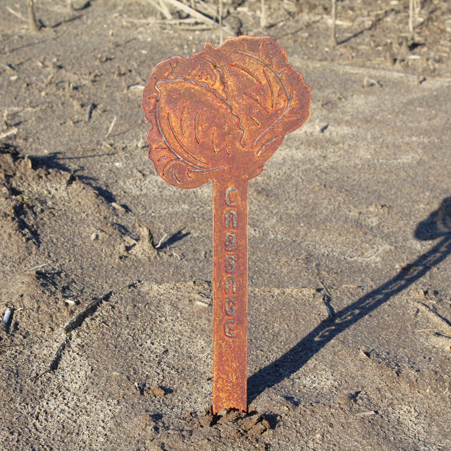 Cabbage Steel Garden Stake