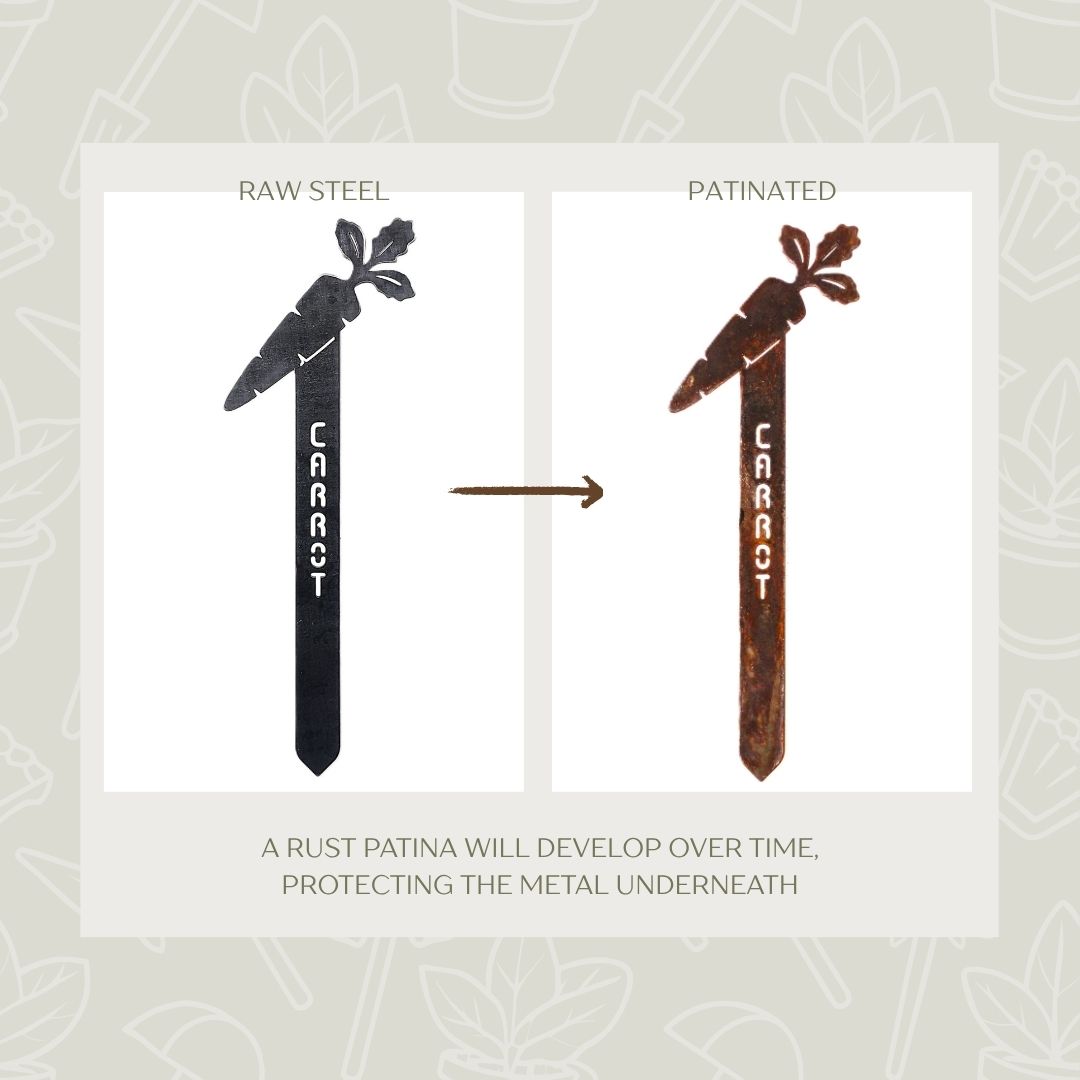 Carrot Steel Garden Stake