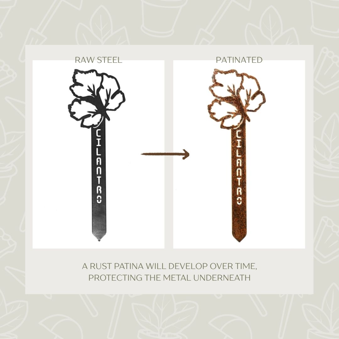 Cilantro Steel Garden Stake