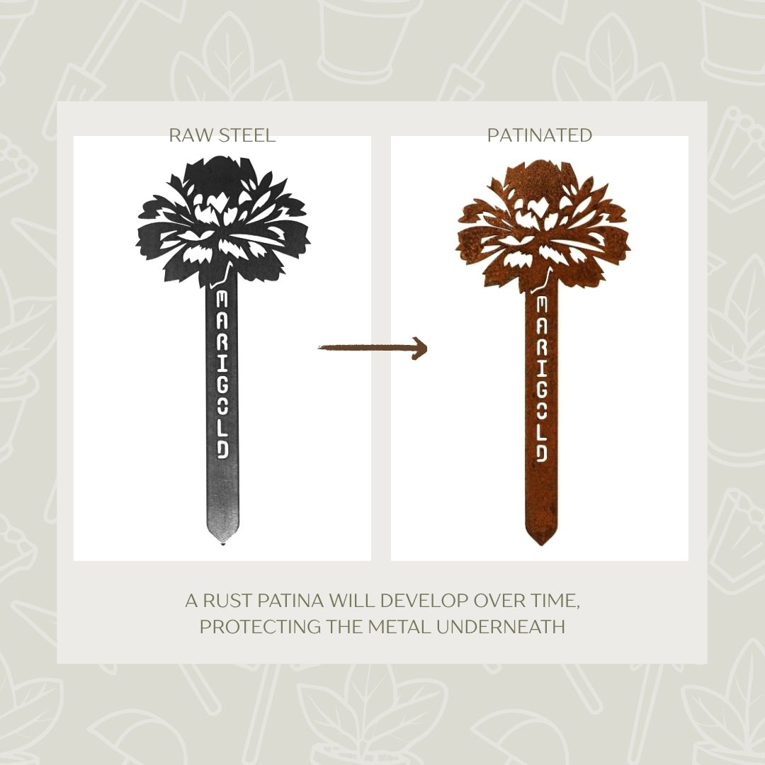 Marigold Steel Garden Stake