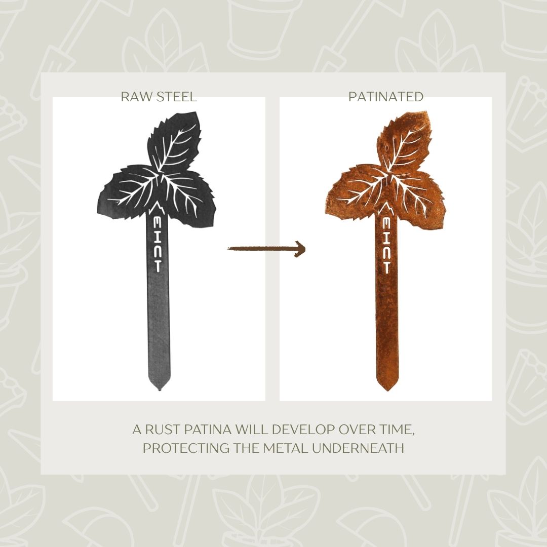 Mint Steel Garden Stake