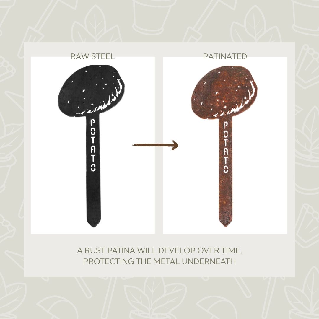 Potato Steel Garden Stake