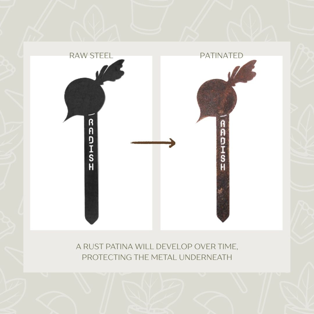 Radish Steel Garden Stake