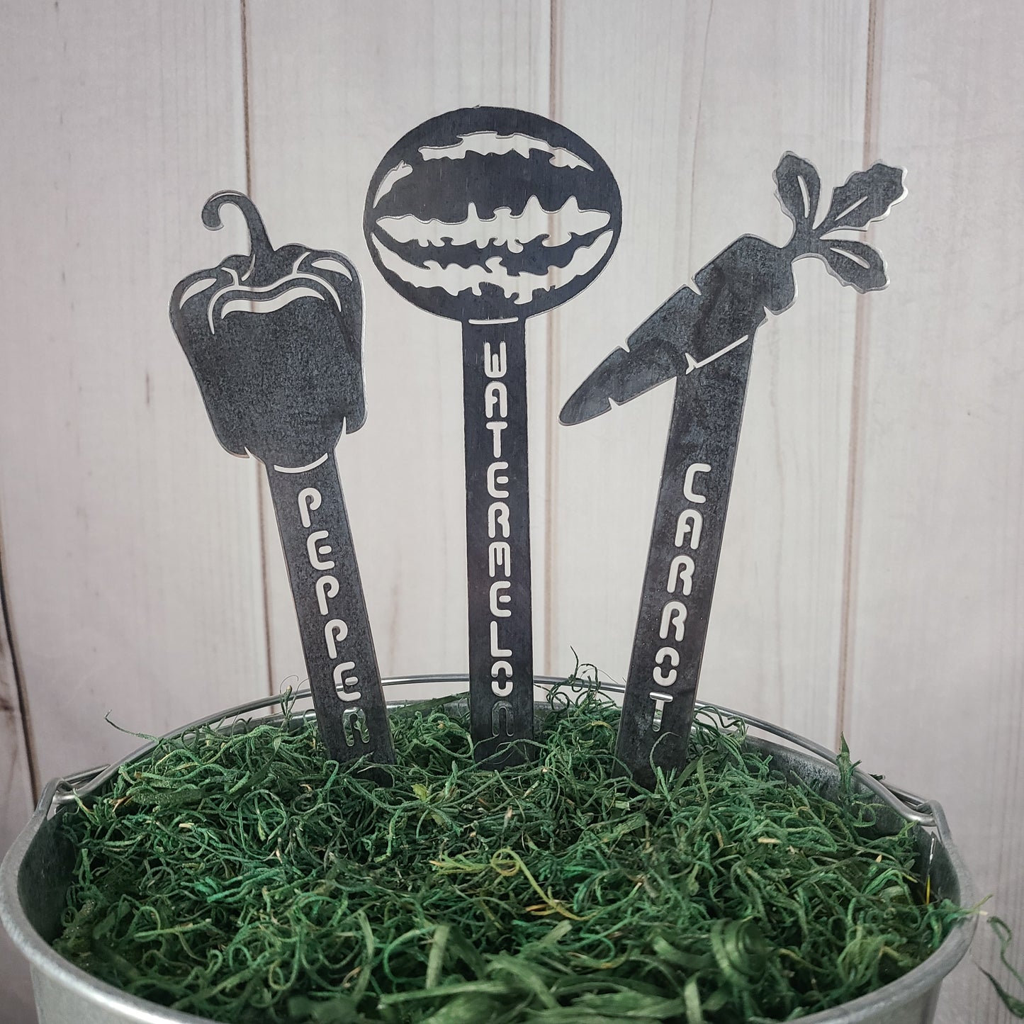 Carrot Steel Garden Stake