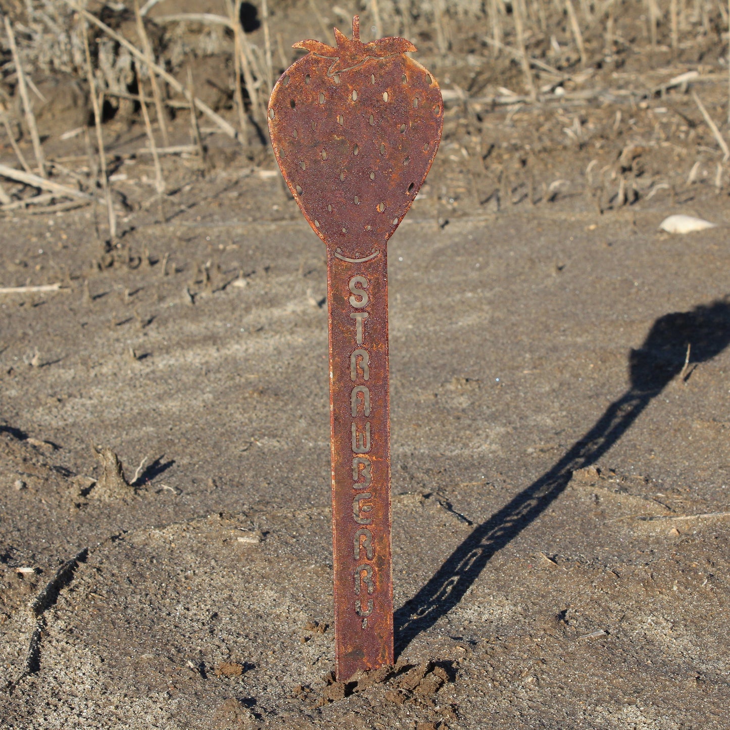 Strawberry Steel Garden Stake