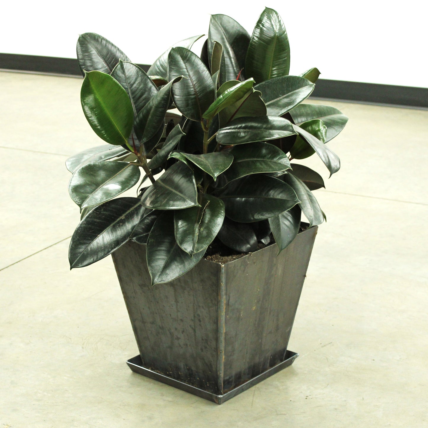 Corten Steel Tapered Square Planter Tray