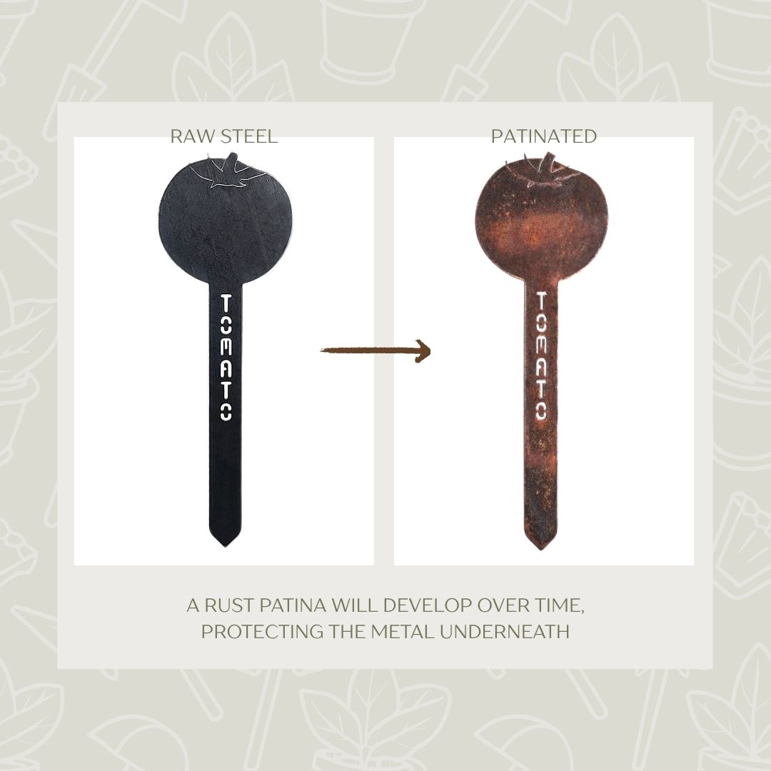 Tomato Steel Garden Stake